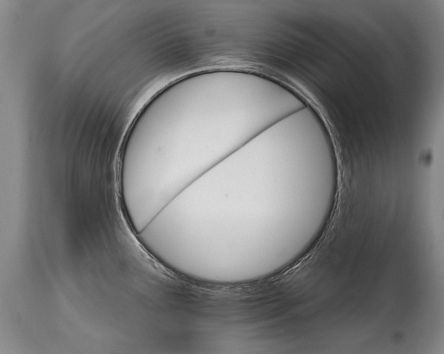 X0000114401291200911061529