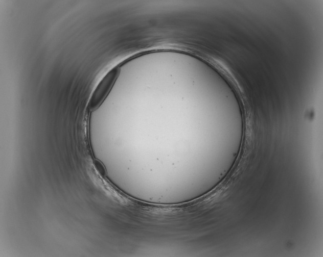 X0000114401292200911061529