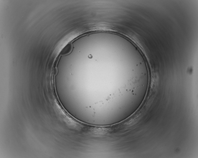 X0000114401293200911061529