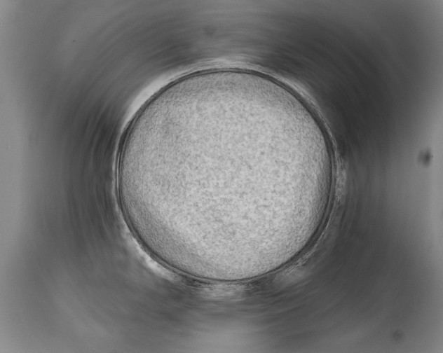 X0000114401294200911061529