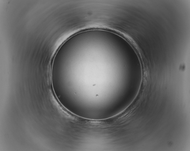 X0000114401295200911061529