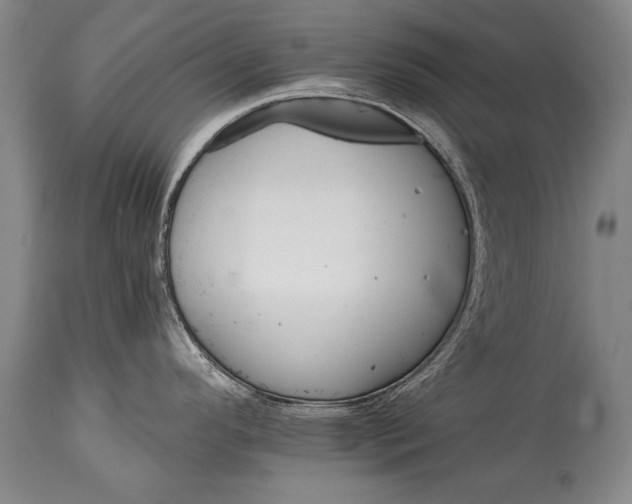 X0000114401296200911061529