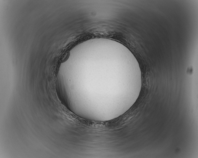 X0000114401297200911061528