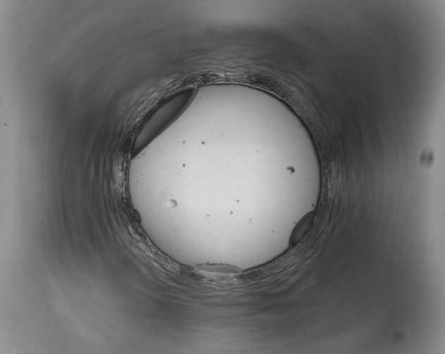 X0000114401298200911061528