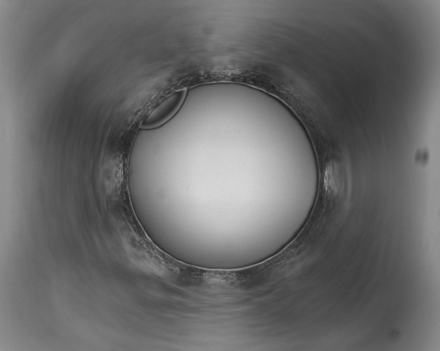 X0000114401299200911061528