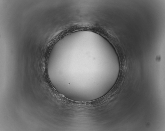 X0000114401301200911061528