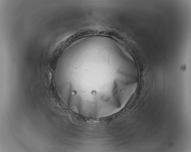 X0000114401302200911061528