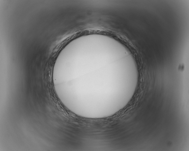 X0000114401303200911061528