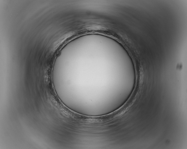 X0000114401305200911061528