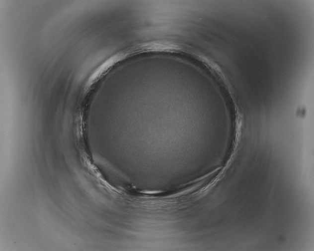 X0000114401306200911061528