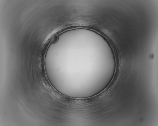 X0000114401307200911061528