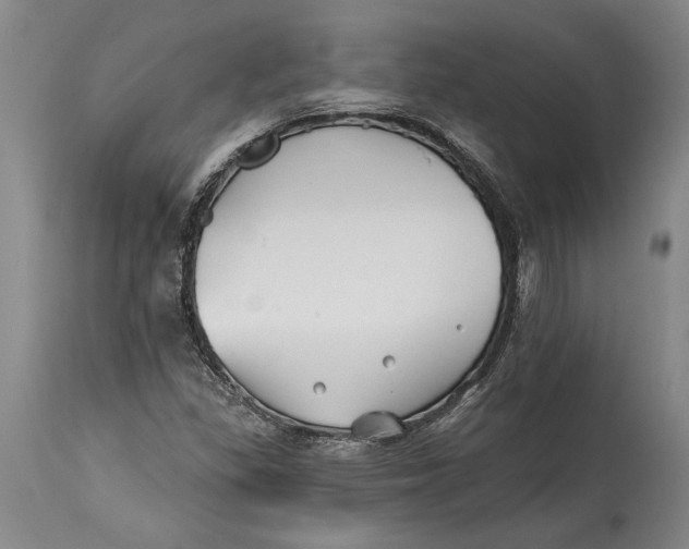 X0000114401309200911061528