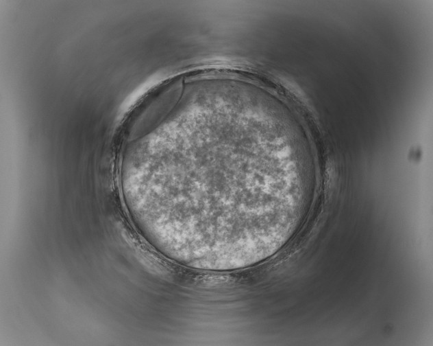 X0000114401310200911061528