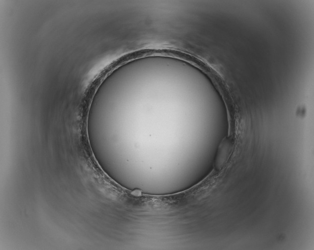 X0000114401311200911061528