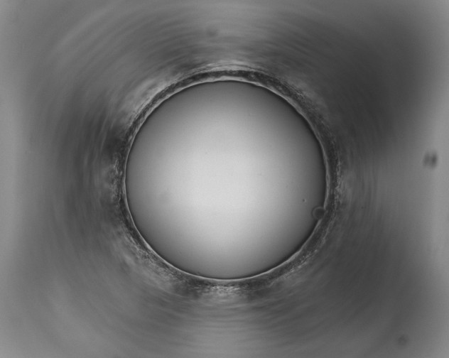 X0000114401313200911061528