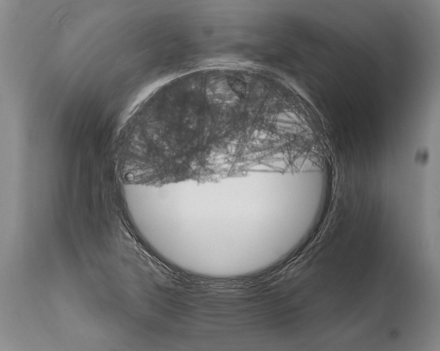 X0000114401315200911061528