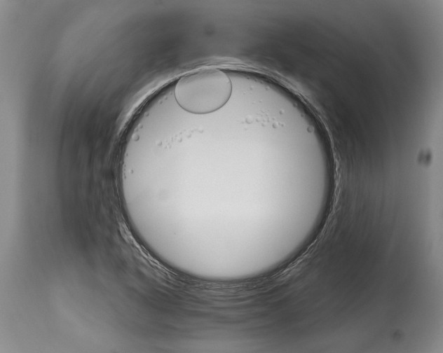 X0000114401318200911061528