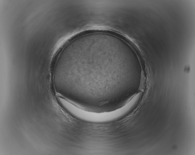 X0000114401319200911061528