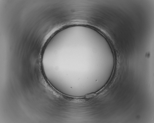 X0000114401325200911061529