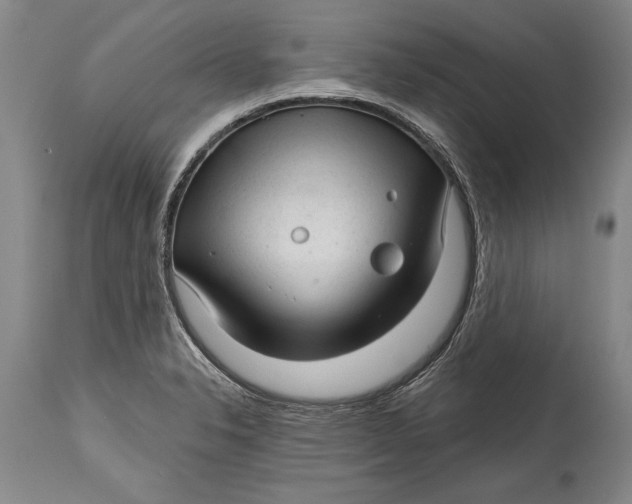 X0000114401326200911061529