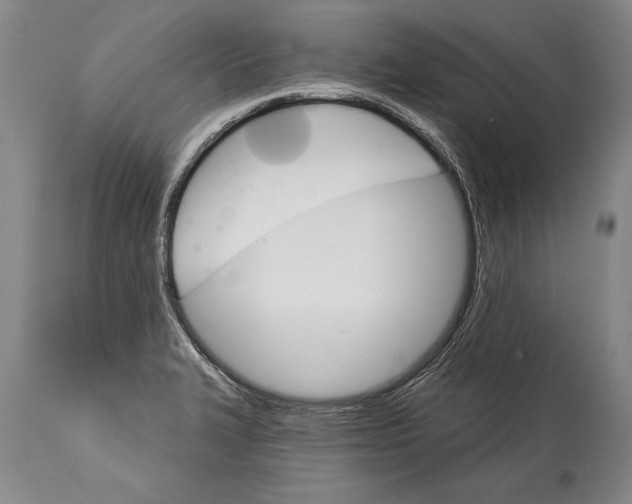 X0000114401327200911061529