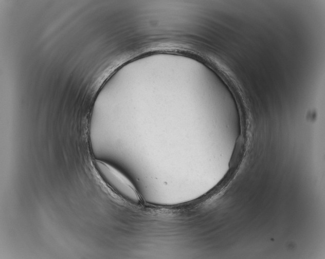 X0000114401329200911061529