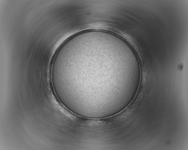 X0000114401331200911061529