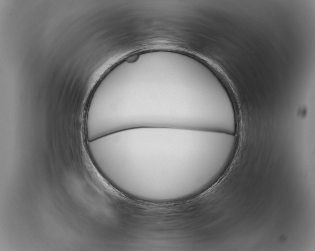 X0000114401333200911061529