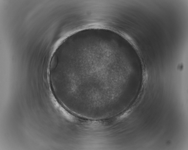 X0000114401334200911061529