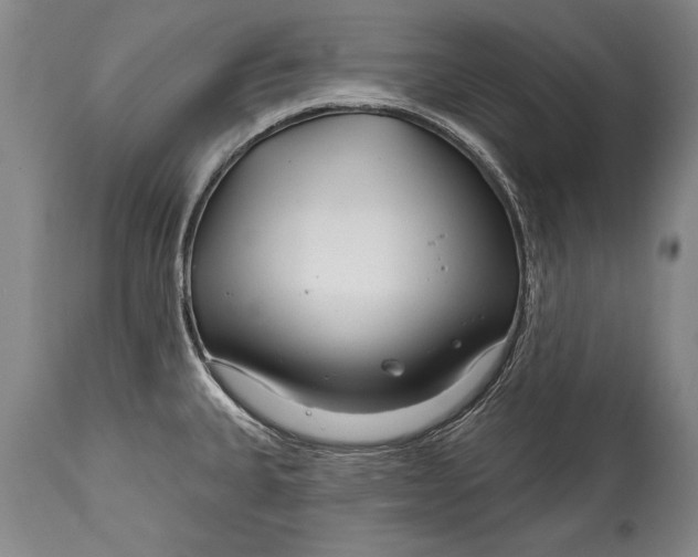 X0000114401335200911061529