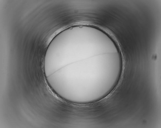 X0000114401337200911061529