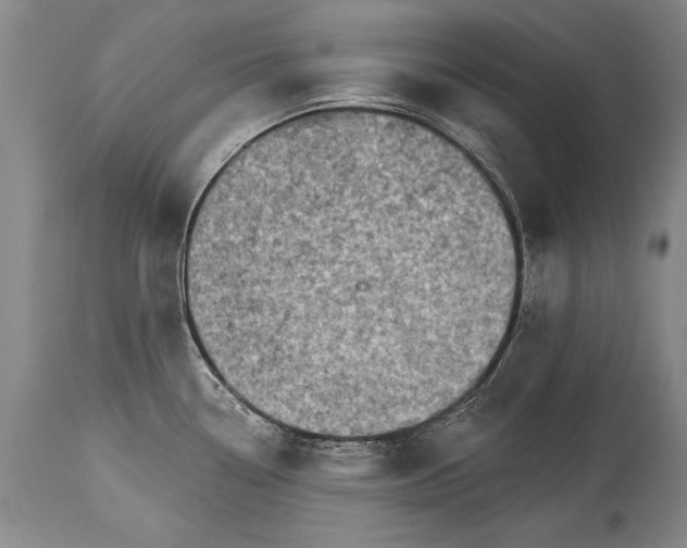 X0000114401338200911061529