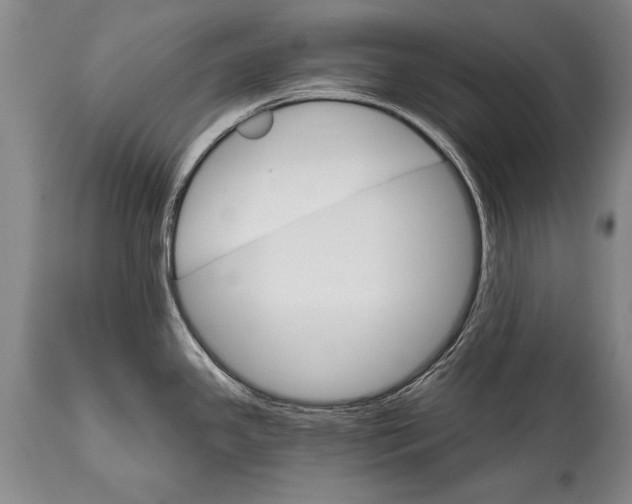 X0000114401341200911061529