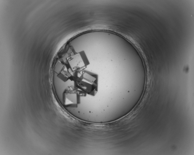 X0000114401342200911061529