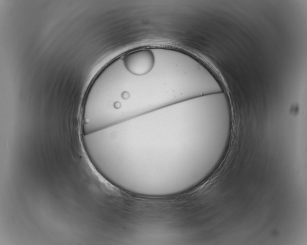 X0000114401343200911061529