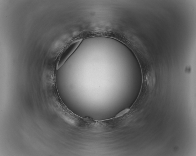 X0000114401348200911061528