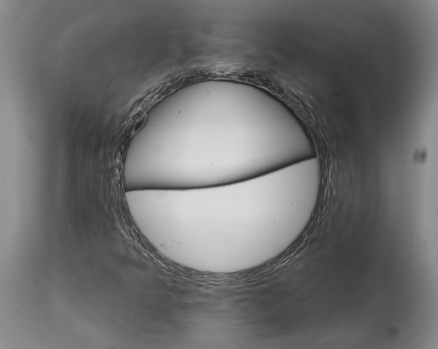 X0000114401349200911061528