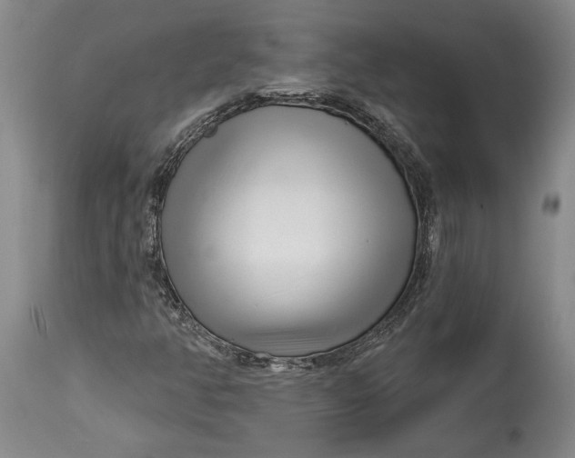 X0000114401350200911061528