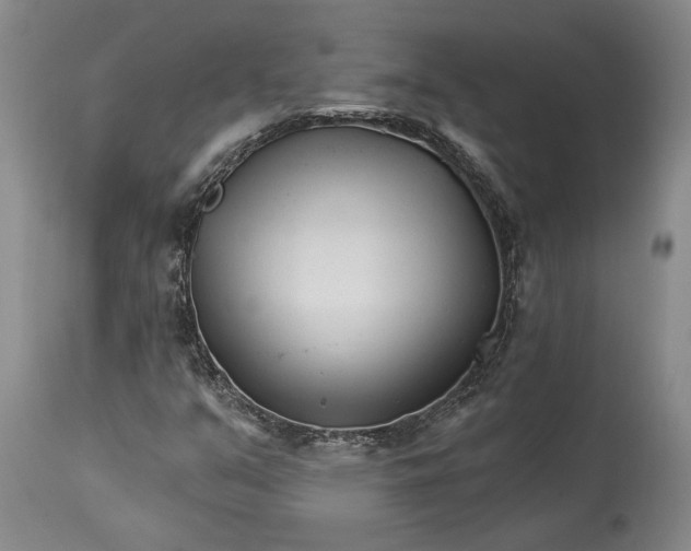 X0000114401351200911061528