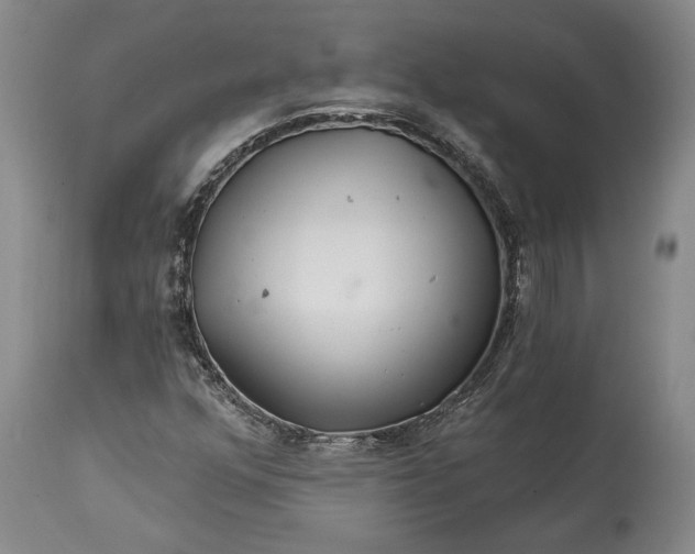 X0000114401352200911061528