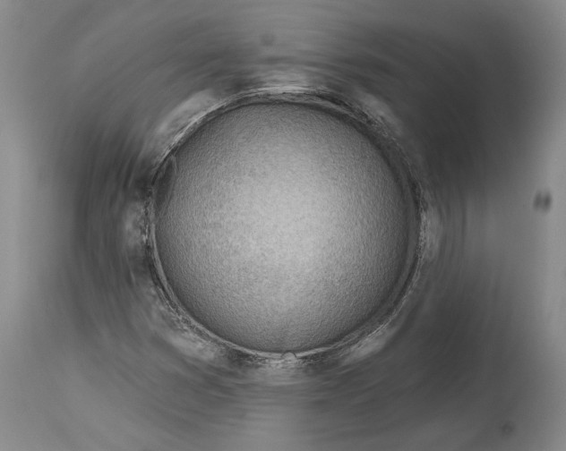 X0000114401353200911061528