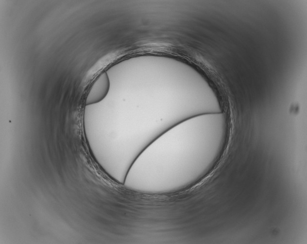 X0000114401354200911061528