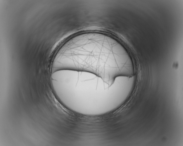 X0000114401356200911061528