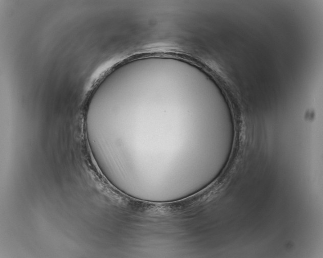 X0000114401358200911061528