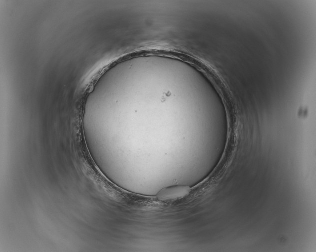 X0000114401359200911061528