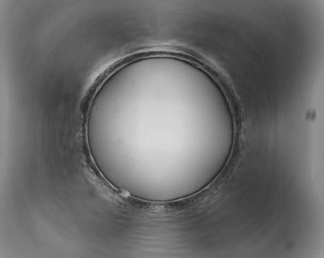 X0000114401360200911061528