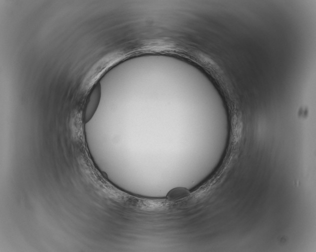 X0000114401361200911061528