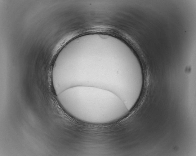 X0000114401362200911061528