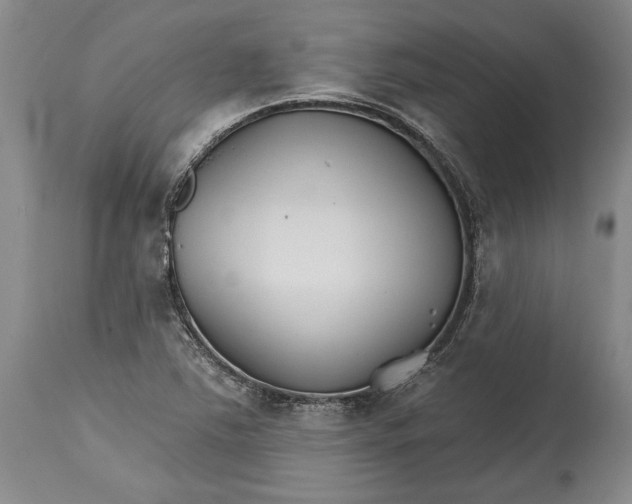 X0000114401363200911061528