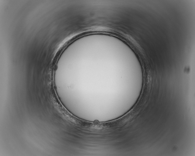 X0000114401364200911061528